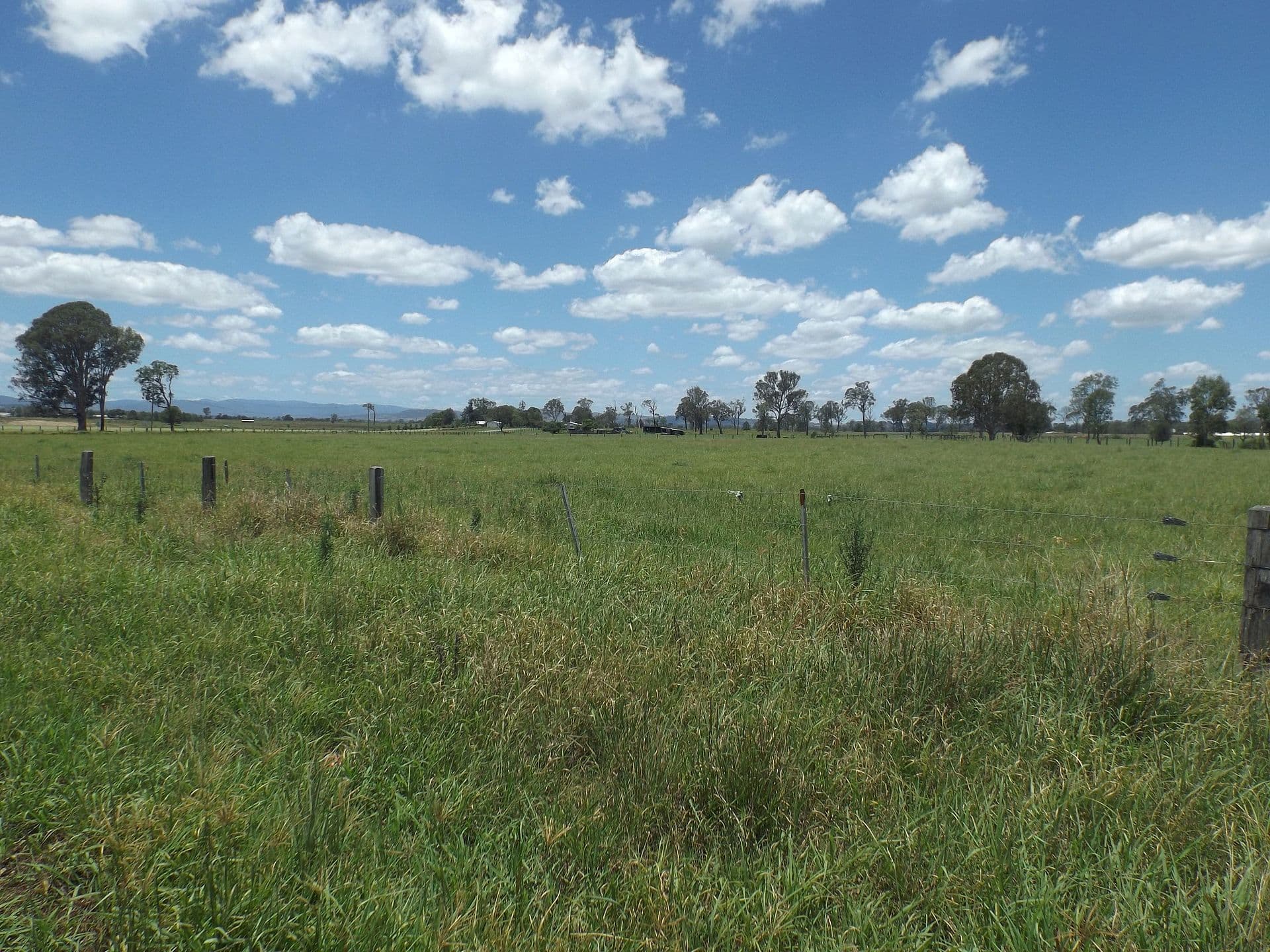 Gleneagle