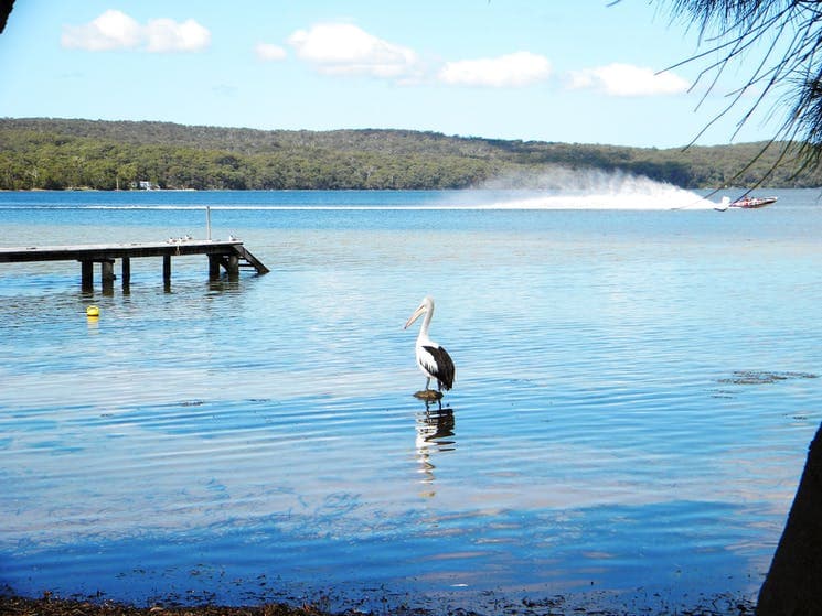 Old Erowal Bay