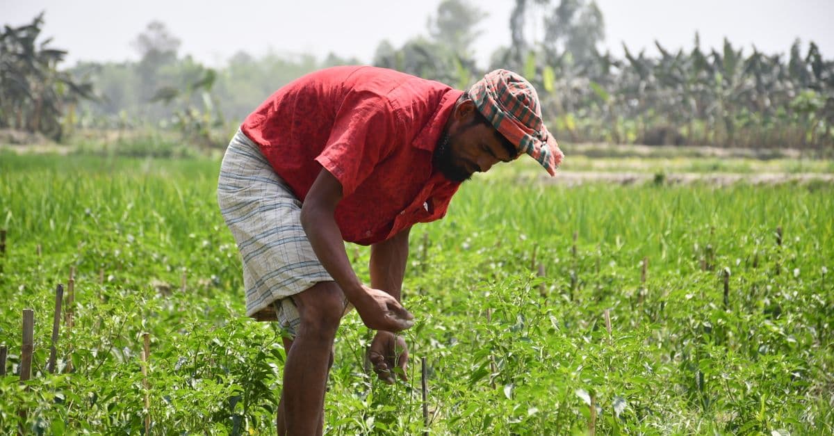Farm Management